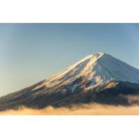 Private Half-Day Mt. Fuji and Surrounding Area Tour