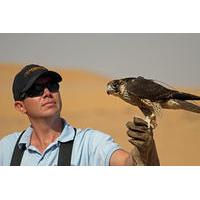 private tour falconry experience and wildlife tour in dubai with optio ...