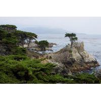 private monterey carmel and 17 mile day tour from san francisco