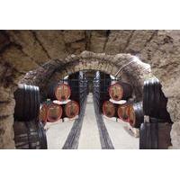 Private Wine Tasting Tour at Urlateanu Manor from Bucharest
