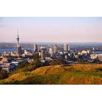 Private Tour: 5-Day Auckland and Bay of Islands Trip