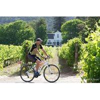 Private Cycling Tour of Constantia Winelands