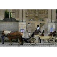 Private Tour: Versailles Horse and Carriage Ride