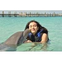 Private Island Dolphin Swim from Nassau