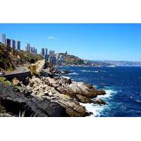 Private Day Tour to Concon, Vina del Mar, and Valparaiso Including Small-Group Surfing Lesson