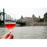 Private Tour: Budapest Danube River Wine Tasting Cruise