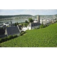 Private Tour: Customizable Rhine Valley Day Trip from Frankfurt