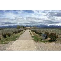 Private Lujan Wine Tour with Gourmet Wine-Paired Lunch from Mendoza