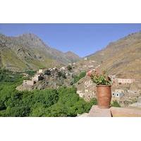 Private Day Trip to the High Atlas Mountains from Marrakech including Short Hike or Mule Ride
