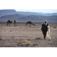 private 2 night tour to erg chegaga sand desert from marrakech