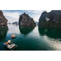 private tour deluxe halong bay day cruise including seafood lunch from ...