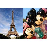 Private transfer from Disneyland to Paris Charles de Gaulle airport
