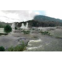 Private Day Tour: Athirappilly Falls and Vazhachal Falls Adventure from Kochi including Lunch