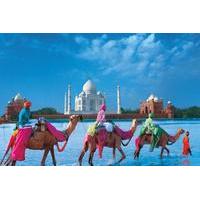 Private 4-Day Tour: Golden Triangle tour with Camel Safari