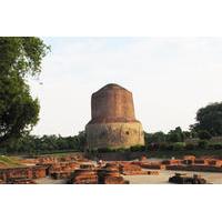 Private Tour: Sarnath Day Tour including Sarnath Museum