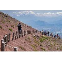 private day tour from rome to pompeii ruins and mount vesuvius with lu ...