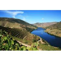 private tour douro valley wine experience from porto