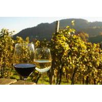 Private Tour: Austrian Wine Tasting in a Traditional Augustinerkeller