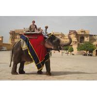 Private Tour: Amber Fort and Jal Mahal Including Elephant Ride