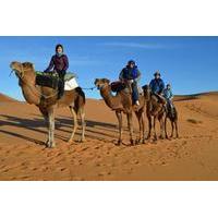 private overnight tour to the sahara desert with camel trek and berber ...