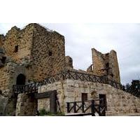 Private Full Day Tour to Umm Qais and Ajloun from Amman
