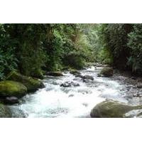 Private Tour: 2-Day Mindo Cloud Forest Overnight Tour from Quito