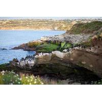 Private Tour: Customizable San Diego Sightseeing