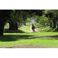 Private Day Tour to an Argentinian Estancia