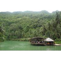 Private Bohol Day Tour with Loboc River Cruise and Lunch