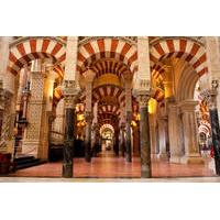 private tour cordoba day trip from madrid by high speed train