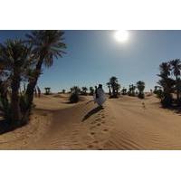 Private Tour: 3-Day Desert Tour from Fez to Marrakech