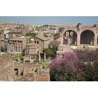 private tour palatine hill in rome including domus augustana