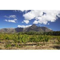 Private Tour: Stellenbosch and Franschhoek Wine, Culture and History Day Trip from Cape Town
