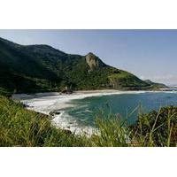 Private Tour: Rio de Janeiro Beaches and Forest Landscapes