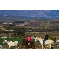 Private Tour: Cape Winelands with Wine Tastings from Cape Town