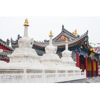 Private Tour: Xi\'an Bike Adventure Including Tibetan Temple and Terracotta Warriors