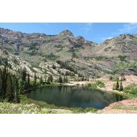 Private Day Tour of Mt Evans from Denver