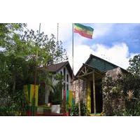 Private Tour: Blue Hole Fern Gully Rainforest Adventure and The Bob Marley Mausoleum Tour from Kingston
