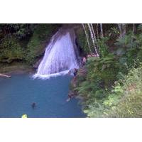Private Tour: Blue Hole and Fern Gully Rain Forest Adventure from Ocho Rios