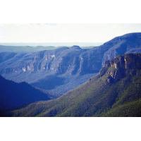 private blue mountains wildlife day trip from sydney including feather ...
