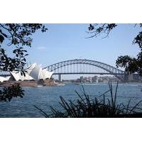 private sydney half day sightseeing tour including sydney opera house  ...