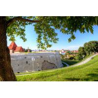 Private Tour: Vilnius Panoramic Views Walking Tour through the Republic of Uzupis
