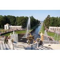 Private Peterhof Grand Palace and Park VIP Admission Tour