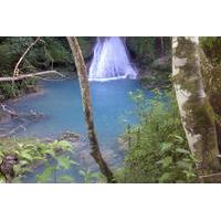 Private Blue Hole and River Gully Rainforest Adventure Tour from Montego Bay