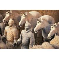 Private Tour: Terracotta Warriors with Xi\'an Airport Transfer