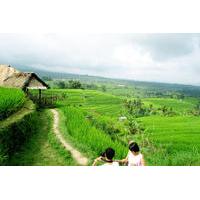 Private Tour: Bali Western Highlights