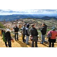Priorat Wineries Tour from Barcelona Including Wine Tastings and Lunch