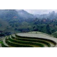 Private Tour of Dragon\'s Backbone Rice Terraces in Longsheng
