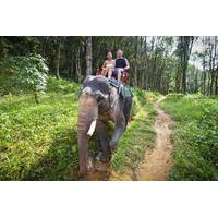 private tour elephant adventure hilltribes and mae kok river trip from ...