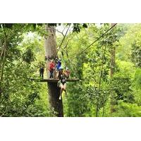 Private Tour: Cycling and Zipline Adventure from Chiang Mai